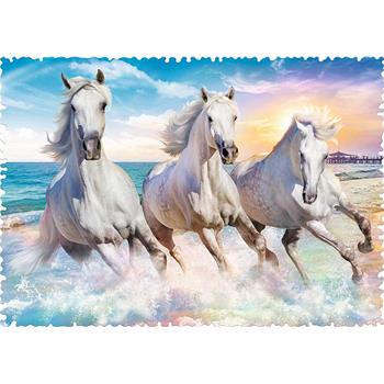 puzzles-600-crazy-shapes-galloping-among-the-waves_60.jpg