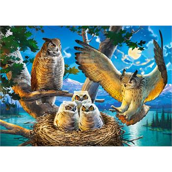 castorland-500-parca-owl-family_12.jpg