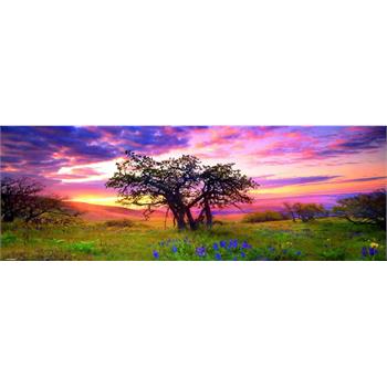 heye-panorama-puzzle-2000-parca-oak-tree_79.jpg