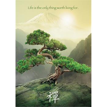 Ravensburger 1000 Parça Puzzle Zen Ağacı