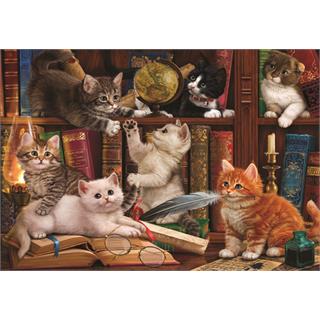 kediler-ve-kitaplar-kittens-in-the-library-500-parca-26.jpg