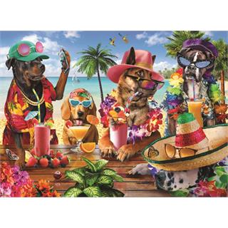tropikal-parti-dogs-drinking-smoothies-on-a-tropical-beach-1000-parca-76.jpg