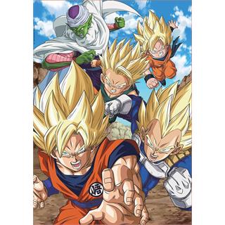 500-dragon-ball-puzzle-assorted-colour_64.jpg